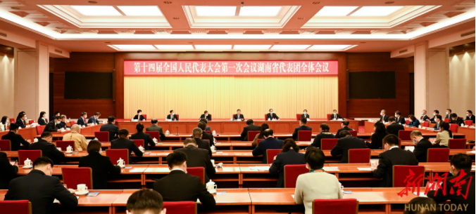 湖南代表团