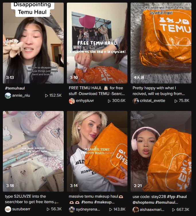 TikTok使用者晒出在Shein、Temu购买的战利品